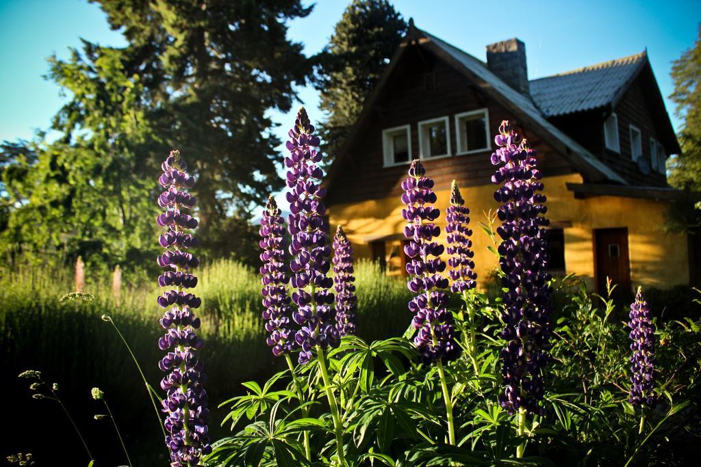 Los Juncos Patagonian Lake House Hotel San Carlos de Bariloche Exterior photo